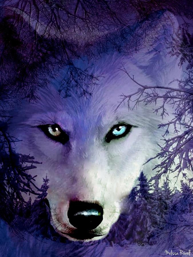 Myths of the World: Spirit Wolf - WildTangent Games
