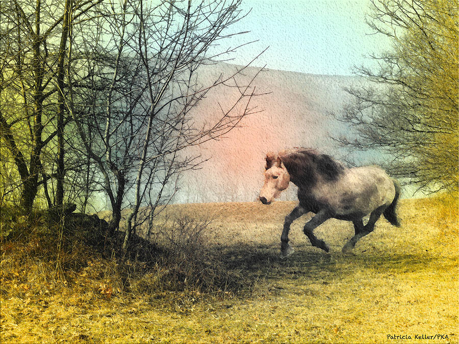 Country Life Photograph - Spiritus Equus by Patricia Keller Country Life Photograph - Spiritus Equus by Patricia Keller