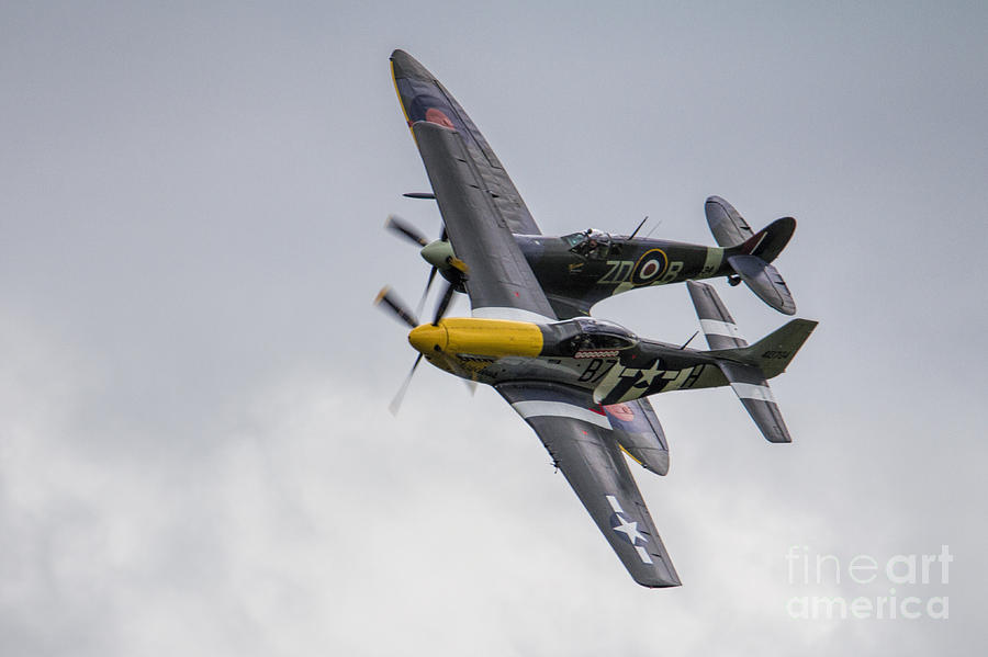 Supermarine Spitfire Photograph - Spitfire and Mustang by Airpower Art