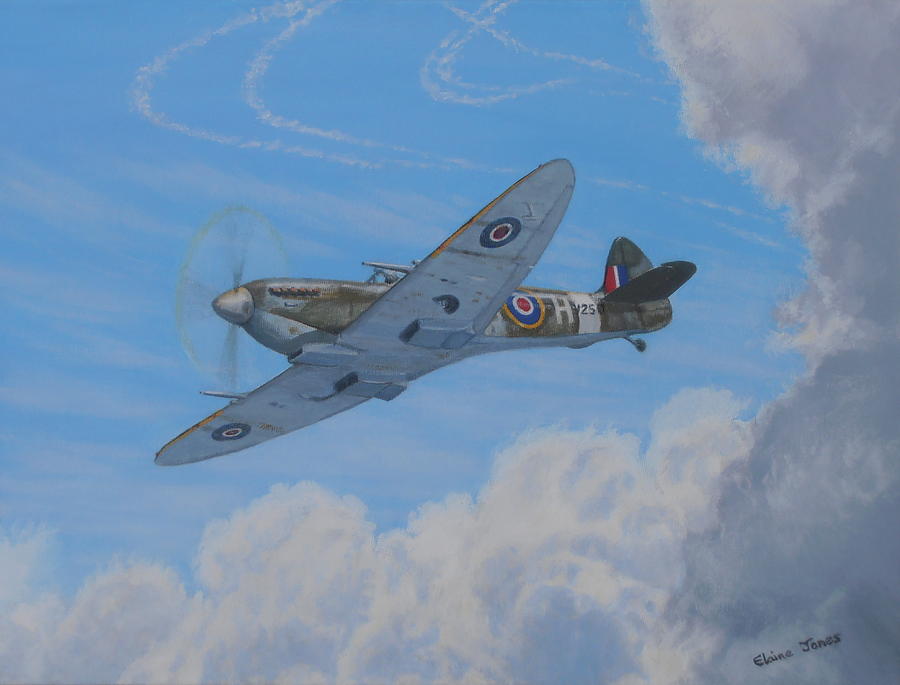 Spitfire Painting by Elaine Jones