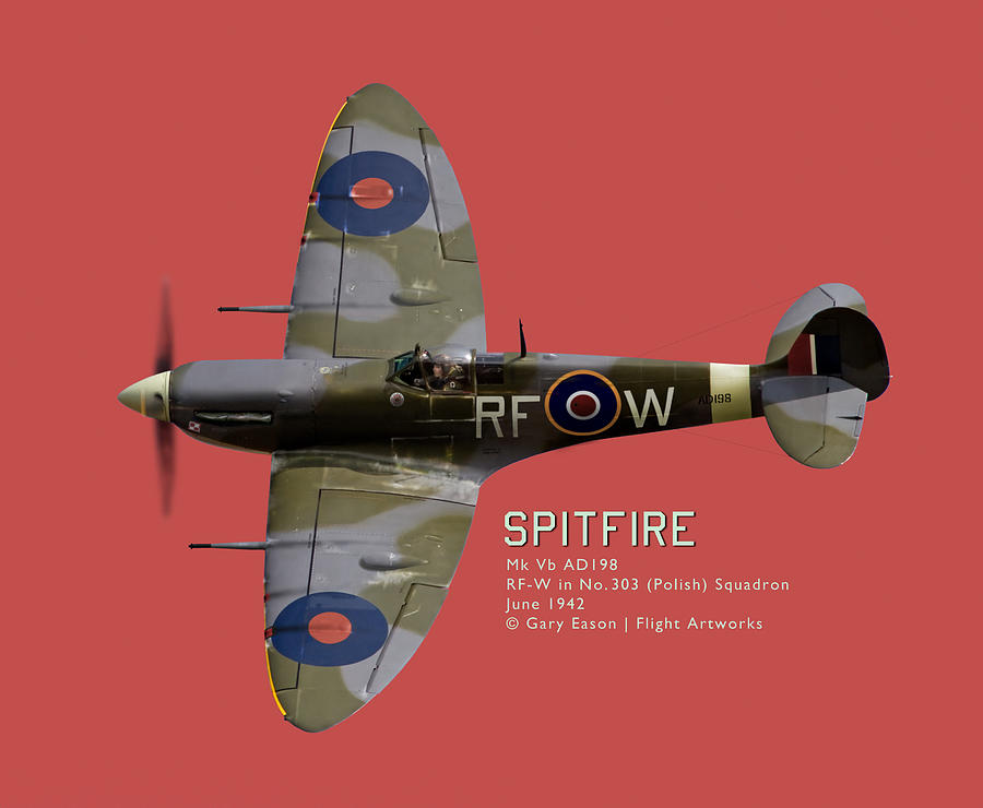 Spitfire portrait - commissions welcome Photograph by Gary Eason