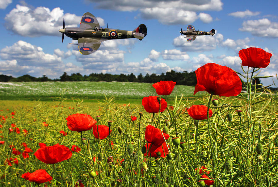 Raf Photograph - Spitfires and Poppy field by Ken Brannen