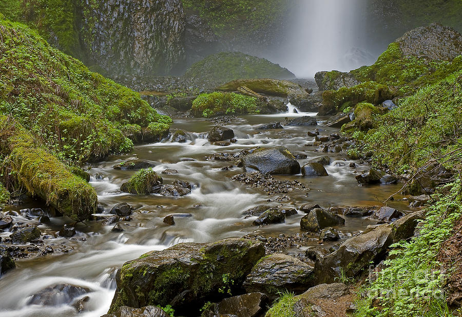 Splash And Flow Photograph by Nick Boren