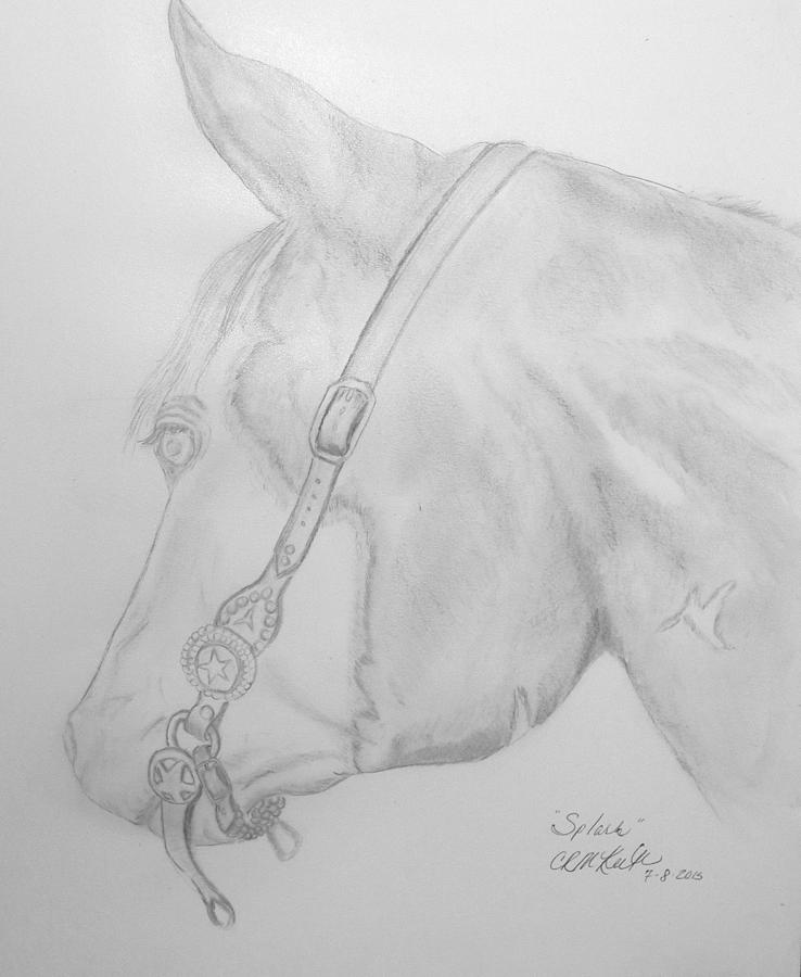 Horse Drawing - Splash by Cheryl McKeeth