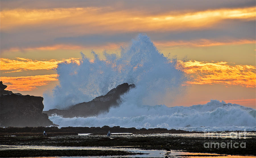 Sunset Photograph - Splash - Mavericks by Amy Fearn