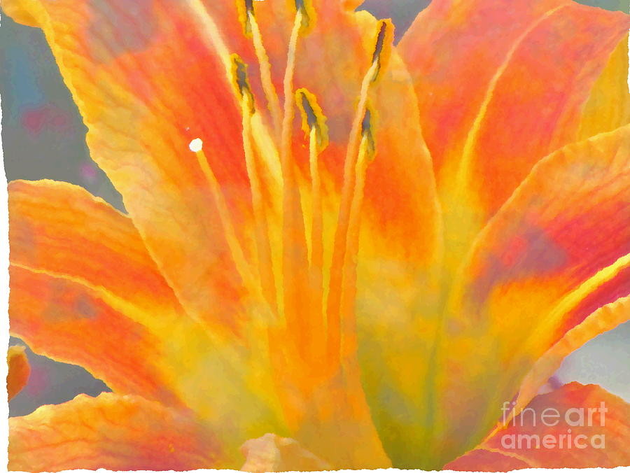 Splash of Color Lily Photograph by Laurie Wilcox