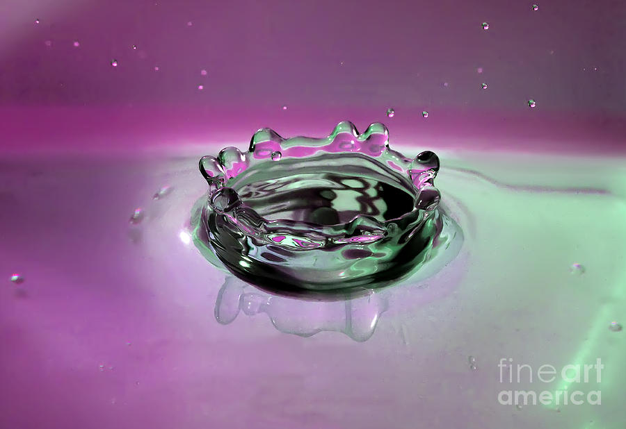 Splash of Purple Photograph by Rick Kuperberg Sr