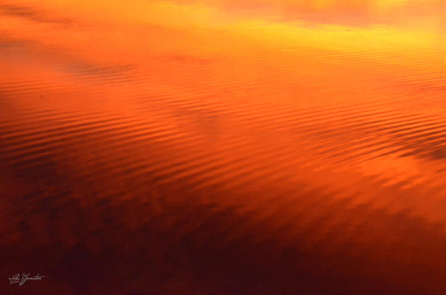 Splash of Sunset  Photograph by Cindy Greenstein