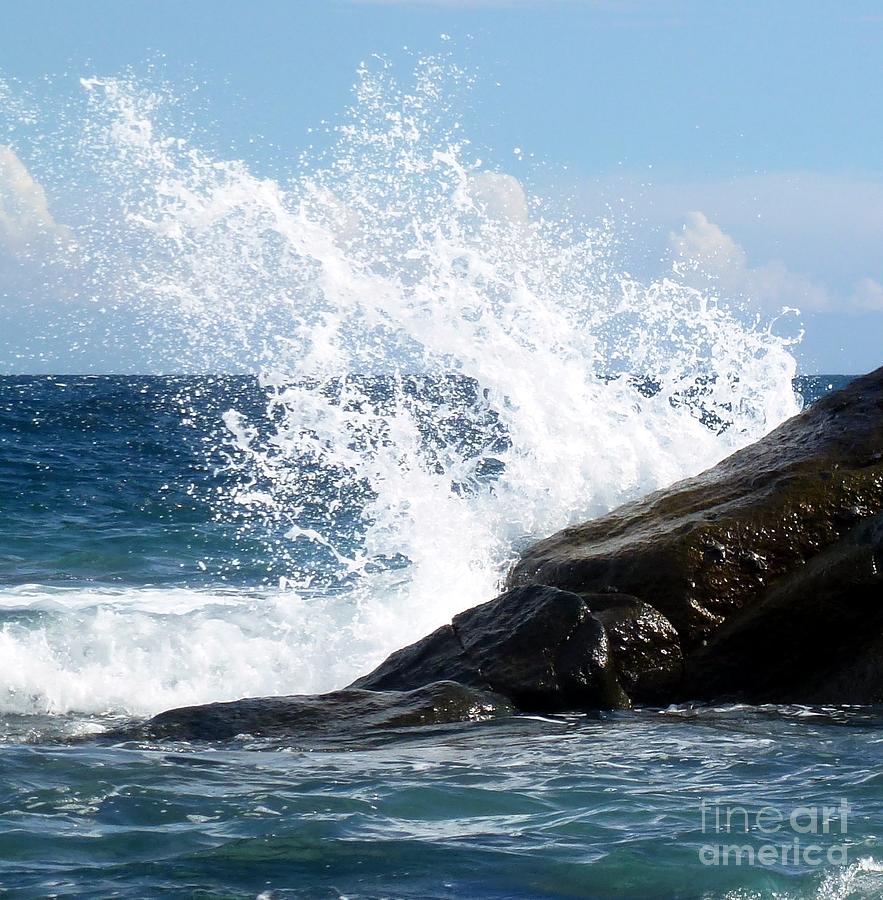 Nature Photograph - Splash on Rock by Barbie Corbett-Newmin
