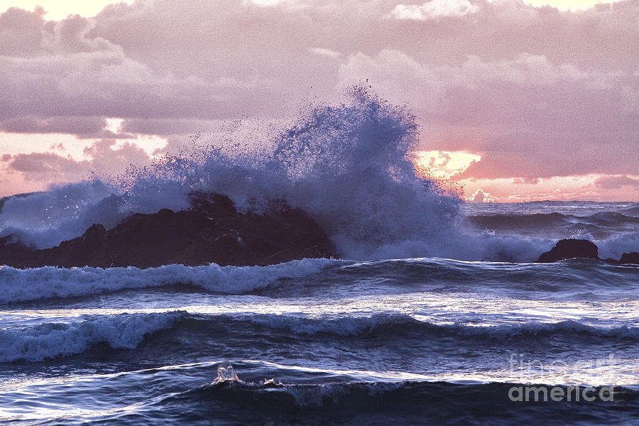 Splash Photograph by Sharon Ely - Fine Art America