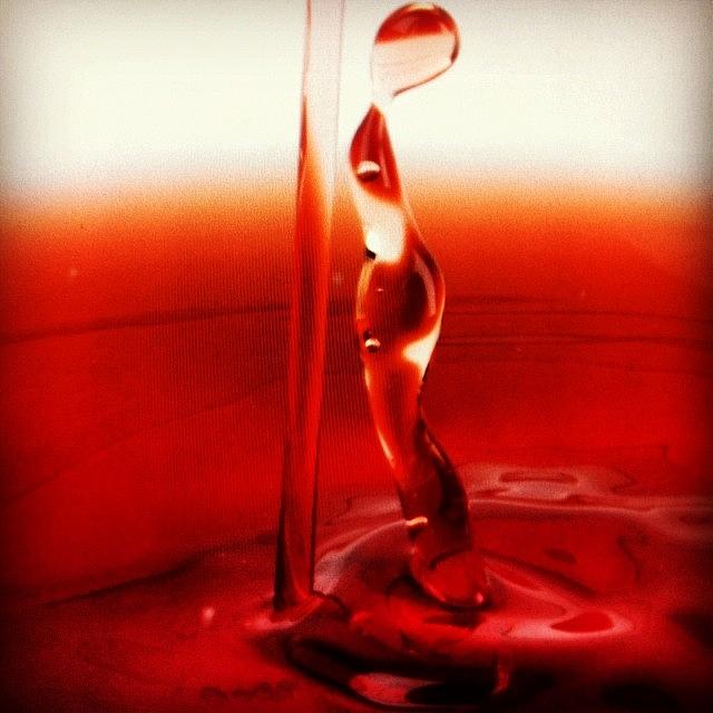 Splash Stem For Wine Glass Photograph by Ritchie Garrod