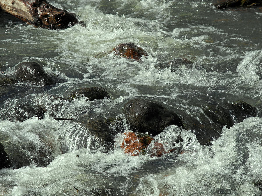 Splashing Rushing Oak Creek Photograph by Lynda Lehmann
