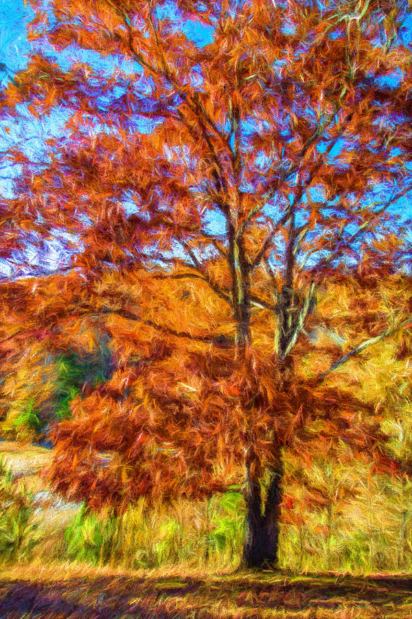 Landscape - Tree - Splendor of Autumn Painting by Barry Jones