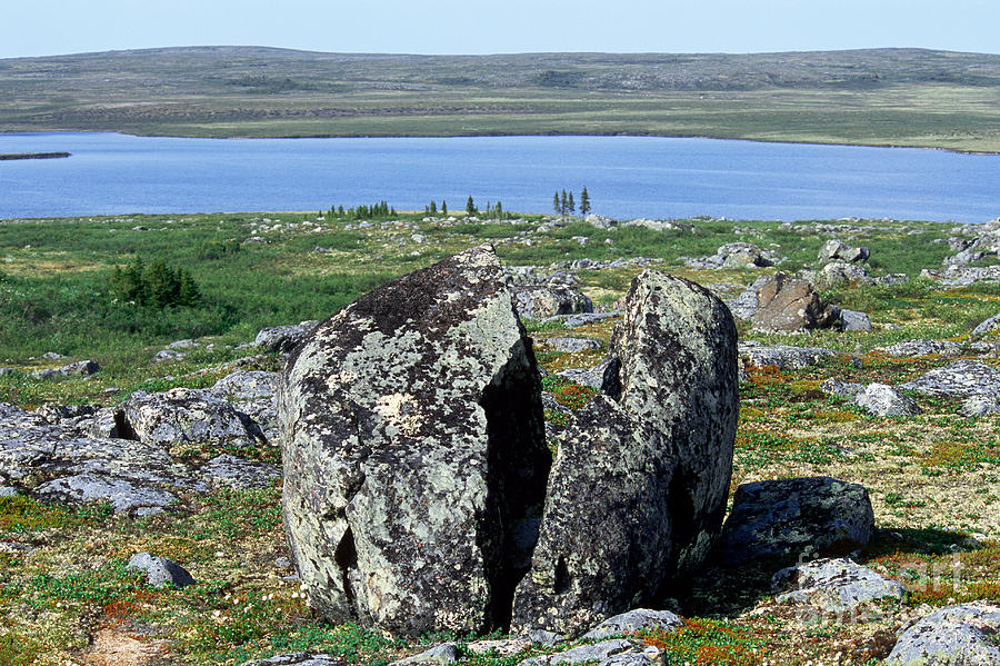 Split Boulder On Tundra Photograph by William H. Mullins