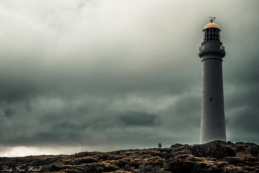 Split Point Lighthouse Photograph by Fran Watson - Fine Art America