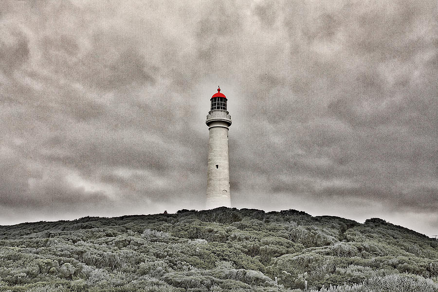 Split Point Lighthouse Photograph by Stuart Litoff