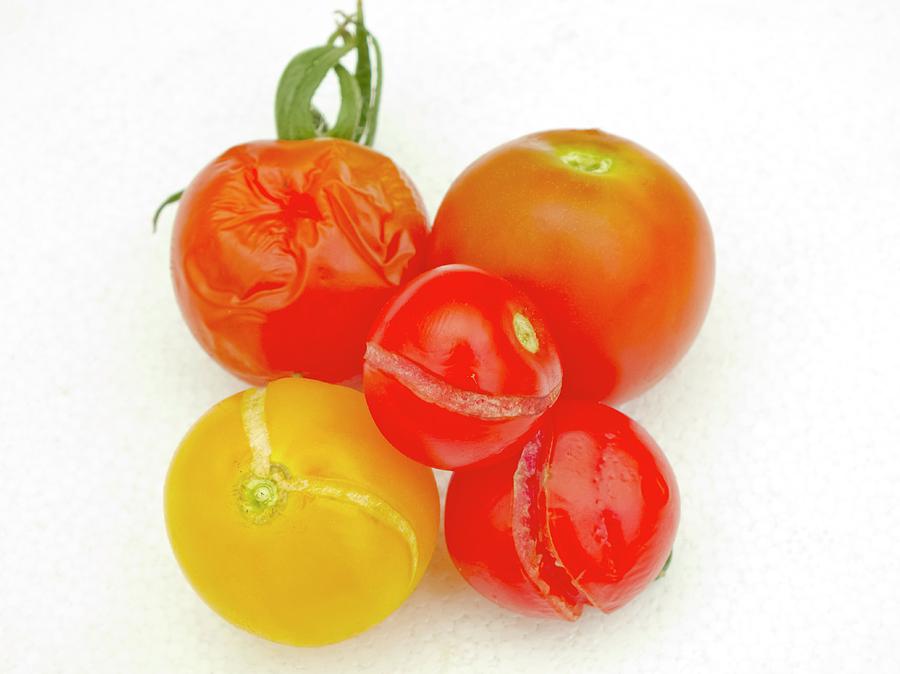 Split Tomatoes Photograph by Ian Gowland