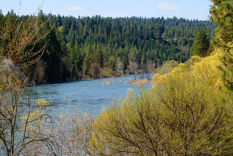 Spokane River Spring 2014 Again Photograph by Ben Upham III
