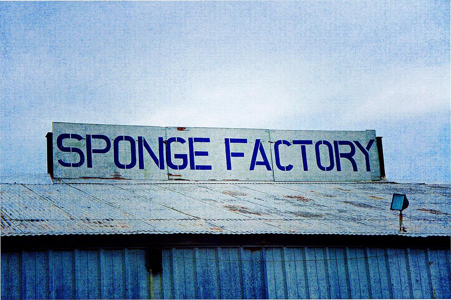Nature Photograph - Sponge Factory by Laurie Perry