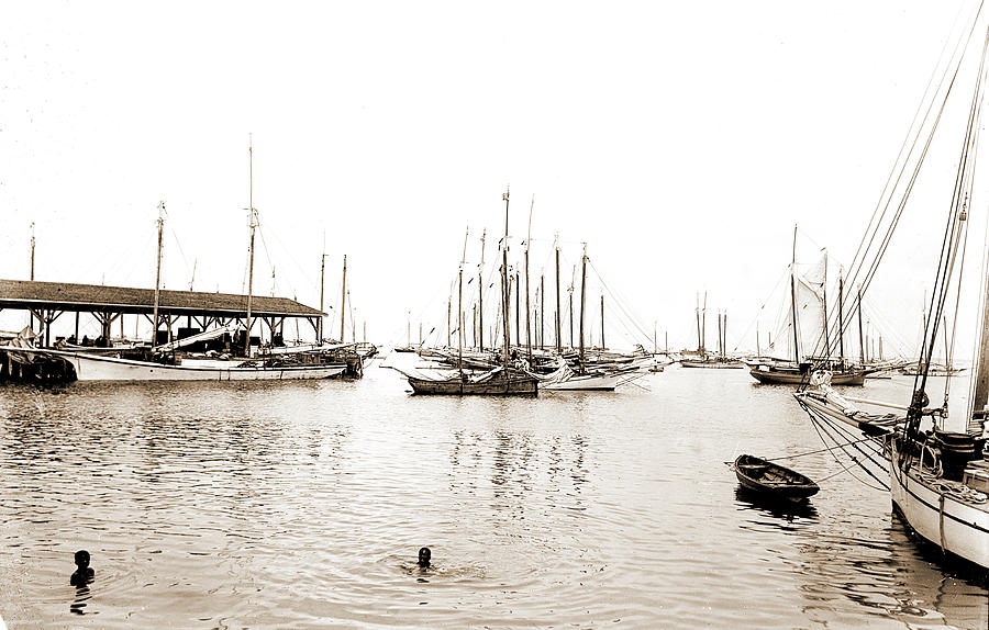 Boat Drawing - Sponge Fleet In Harbor, Key West, Fla, Boats, Harbors by Litz Collection