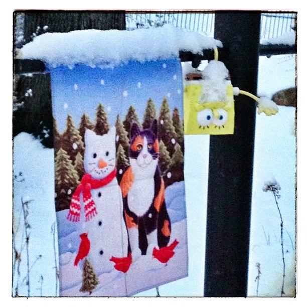 Winter Photograph - #spongebob Enjoying The #snow From by Teresa Mucha
