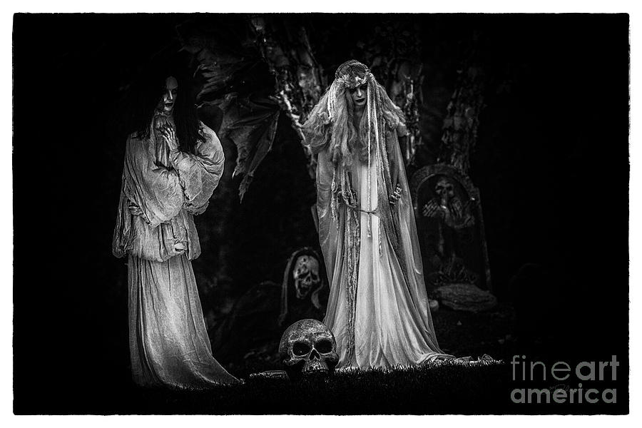 Copyright Owner Photograph - Spookie Ladies Vinette Black and White by Iris Richardson