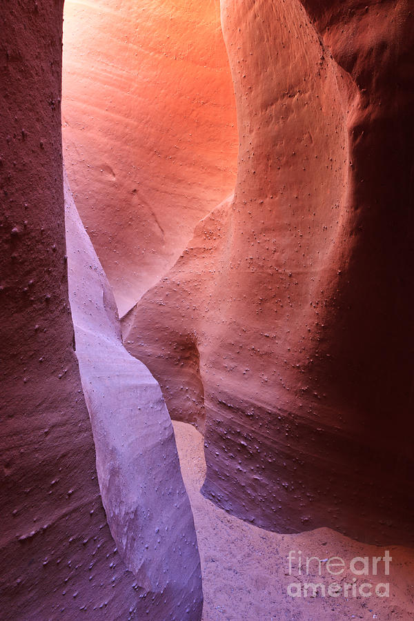 Spooky Gulch Colorful Light Photograph