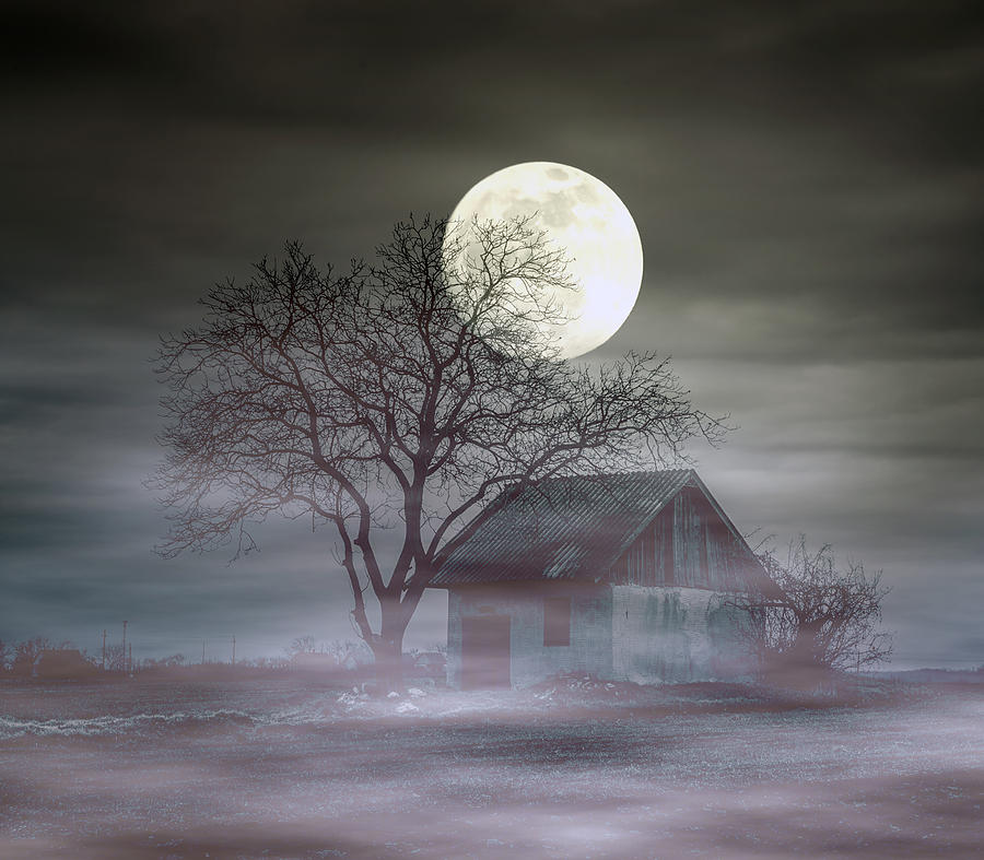 mystery house on moon