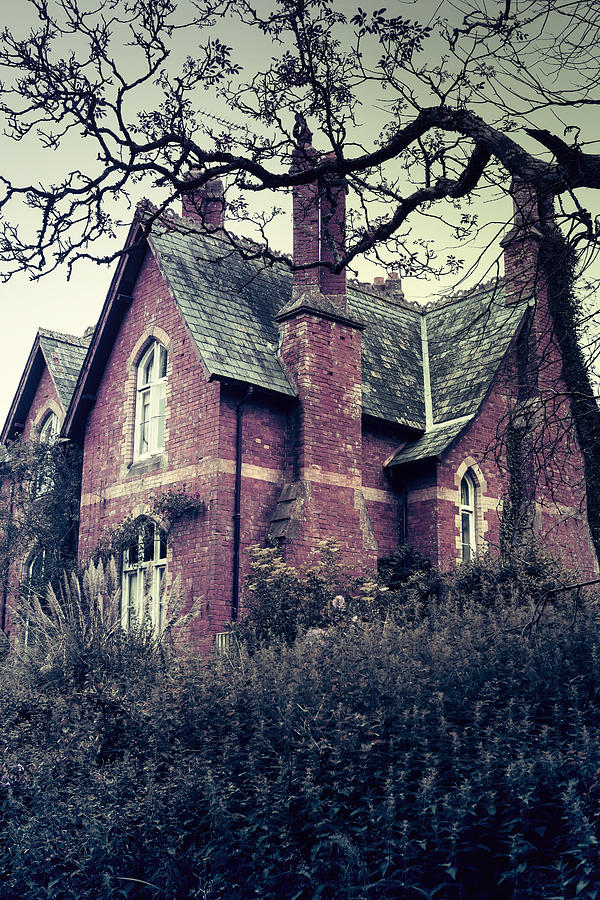 Tree Photograph - Spooky House by Joana Kruse