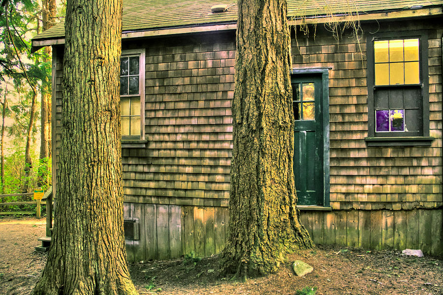 Spooky old cabin Photograph by Eti Reid