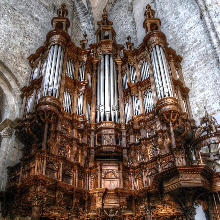 Spooky organ Photograph by Jenny Setchell