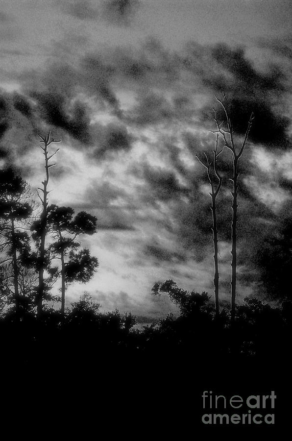 Spooky sky Photograph by Cindy Jones | Fine Art America