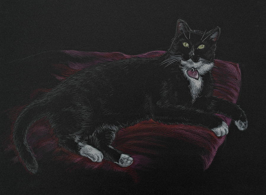 Spooky the Cat Drawing by Michele Myers