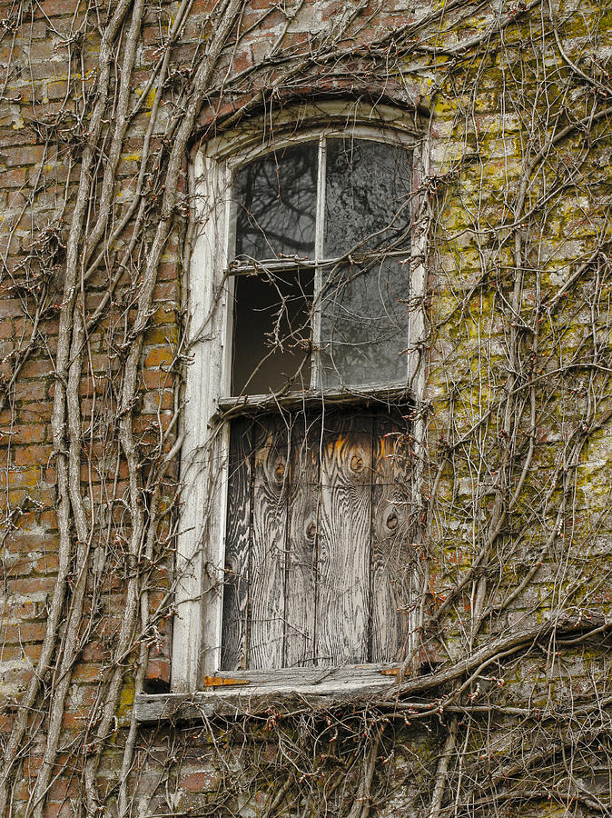 Spooky Window Photograph by Jean Noren