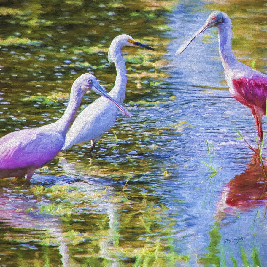 Spoonbill Flamingos and Great American Egret Painting by David Wagner