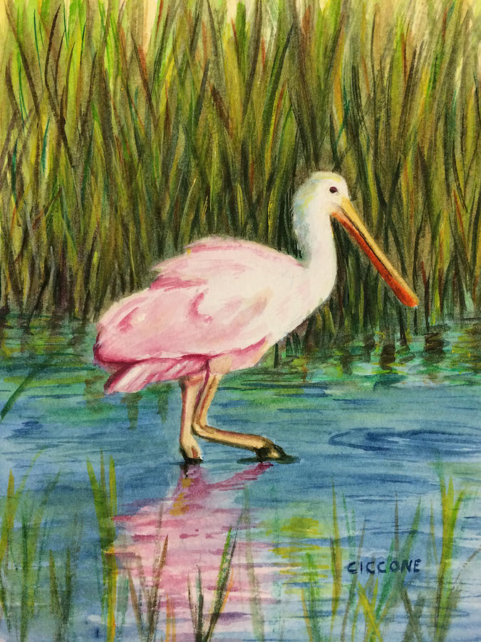 Spoonbill Painting by Jill Ciccone Pike