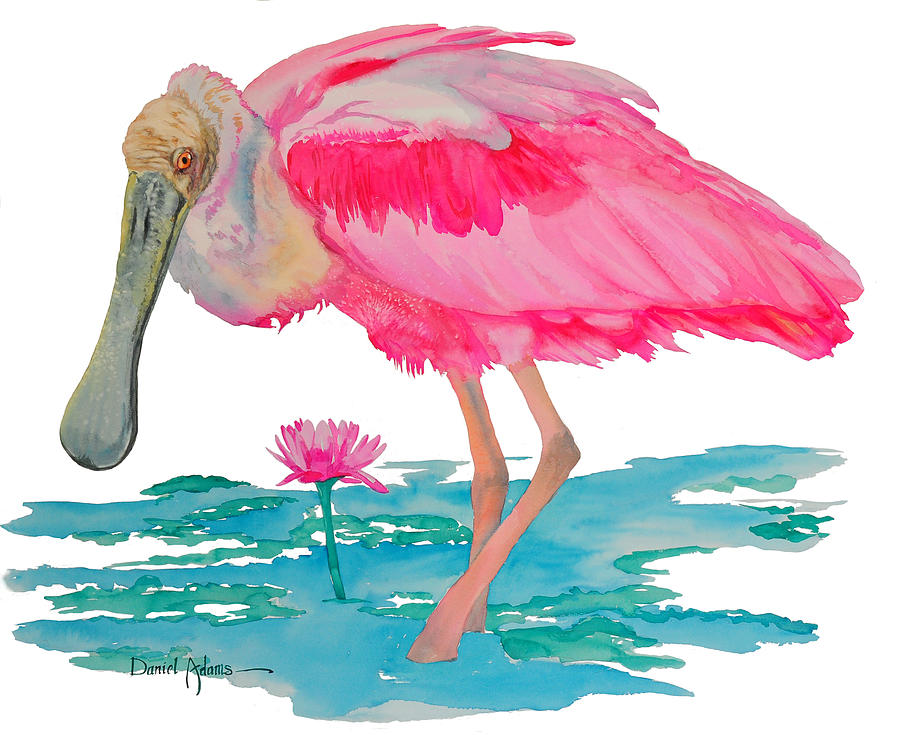  Spoonbill Wading Painting by Daniel Adams