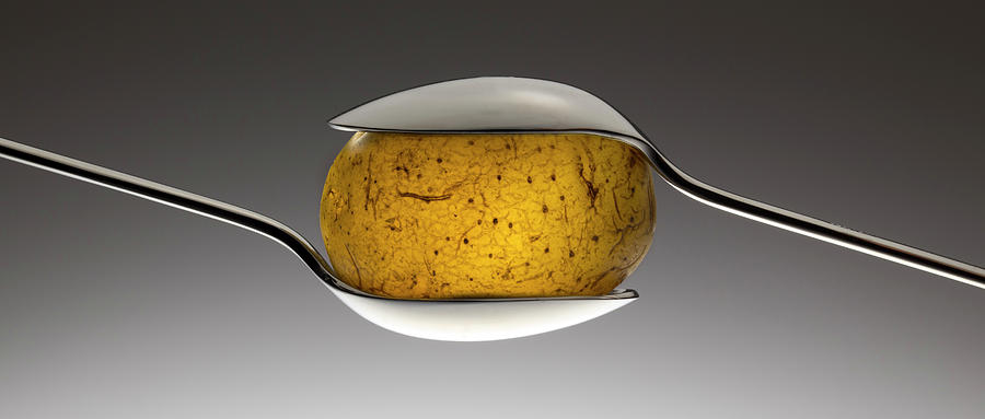 Potato Photograph - Spooned Potato by Wieteke De Kogel