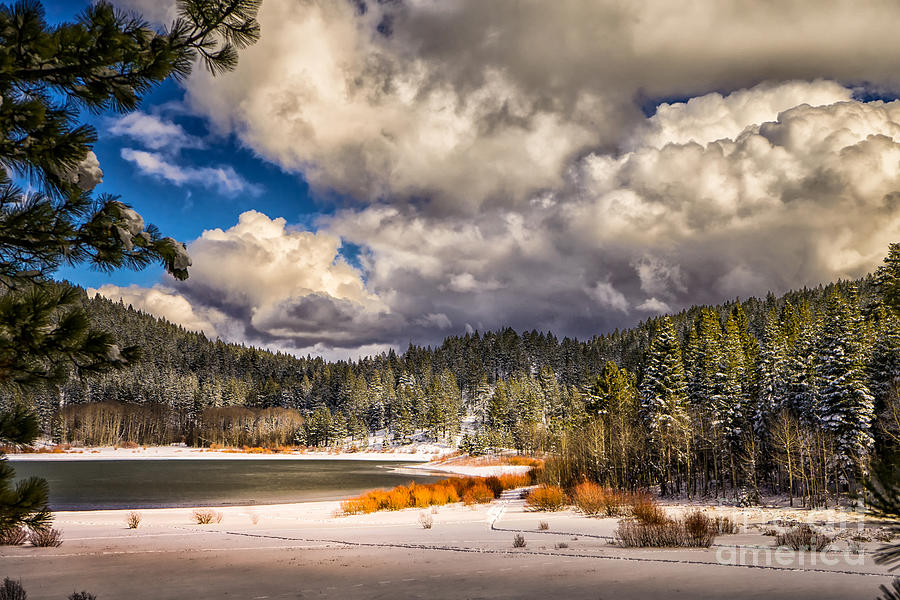 Spooner Lake Snowfall Photograph by Janis Knight
