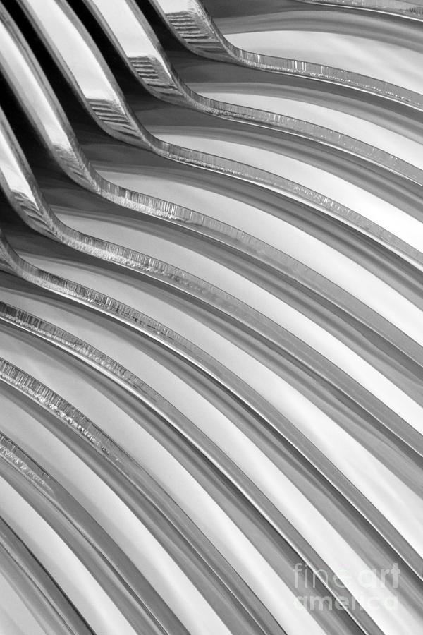 Black And White Photograph - Spoons V by Natalie Kinnear