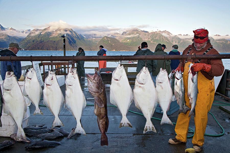 Sport Fishing Catch Photograph by Science Photo Library Sport Fishing Catch Photograph by Science Photo Library