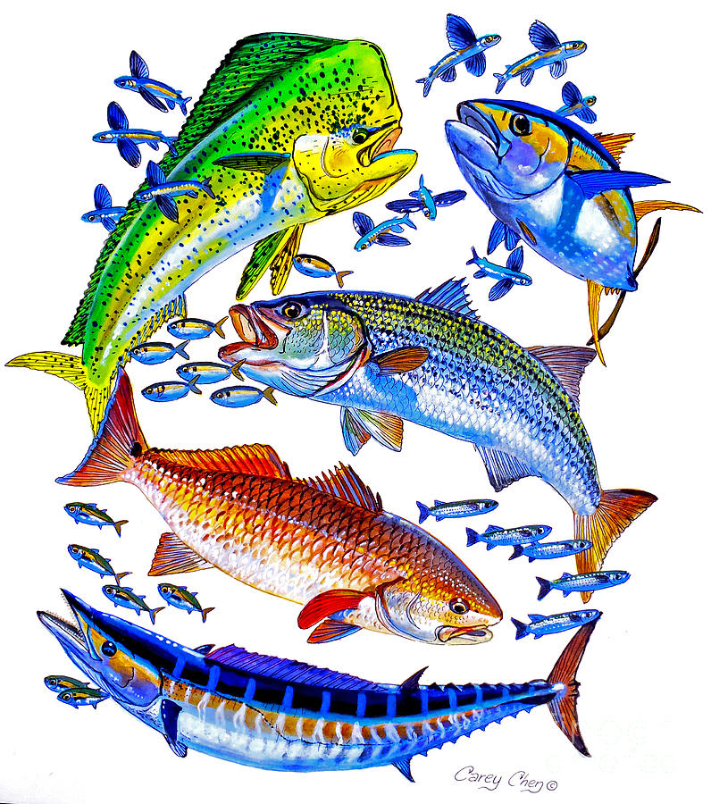 Sportfish Collage Painting