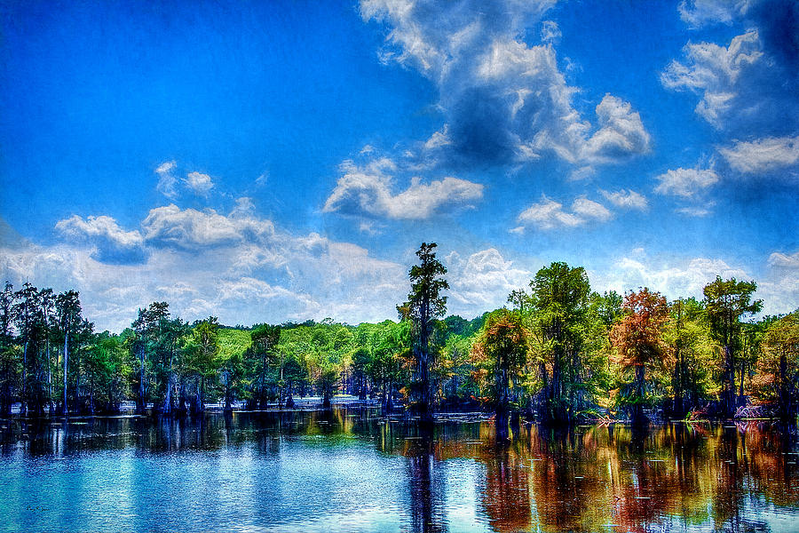 Swamp - Louisiana - Sportsmans Paradise Photograph by Barry Jones