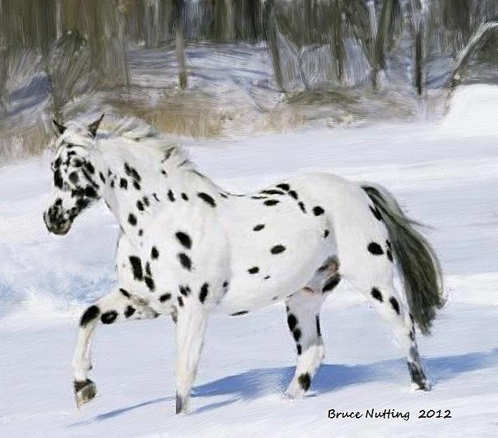 Spot in the Snow Painting by Bruce Nutting