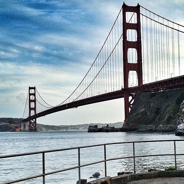 San Francisco Photograph - Spot The Seagull at the Golden Gate Bridge by Eugene Evon