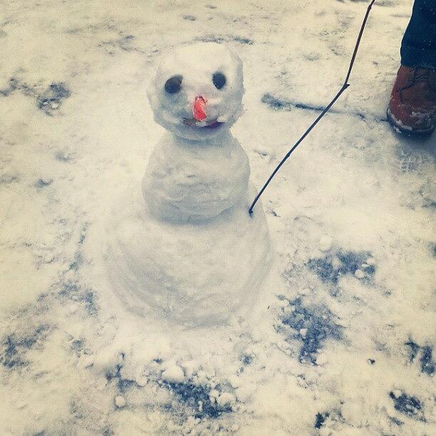 Carrot Photograph - Spot The Snowmen #snowman #snow #sunday by Laurena Pascoe