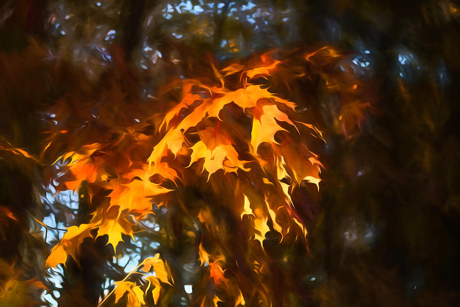 Spotlight on the Golden Maple Leaves - Fall Forest Impressions Digital Art by Georgia Mizuleva