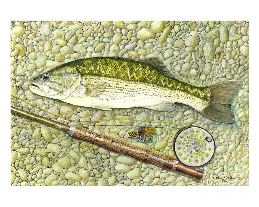Spotted Bass Painting by Mike Howell - Fine Art America