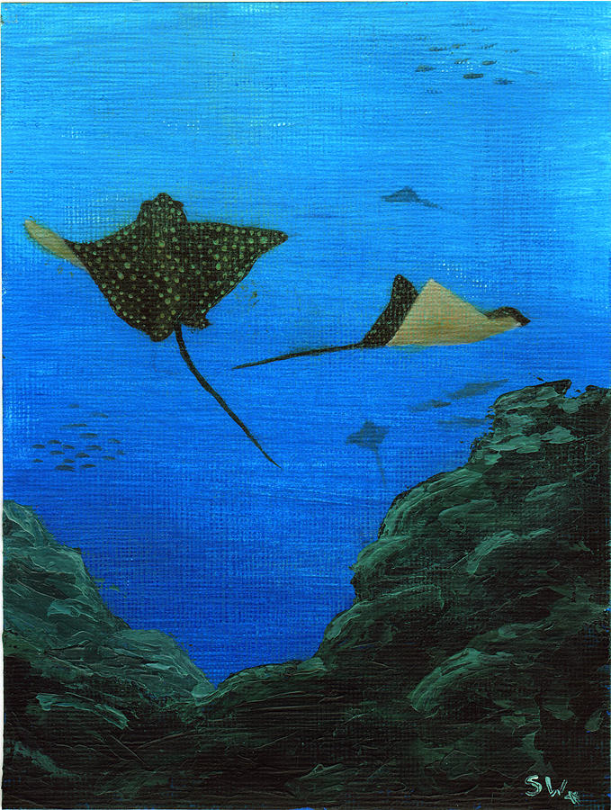 Spotted Eagle Rays Painting by Sheryl Westleigh | Fine Art America