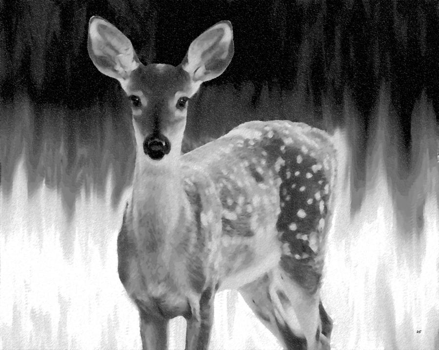 Spotted Fawn Digital Art by Will Borden
